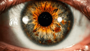 Image for Iridology Photo (In Office Only)